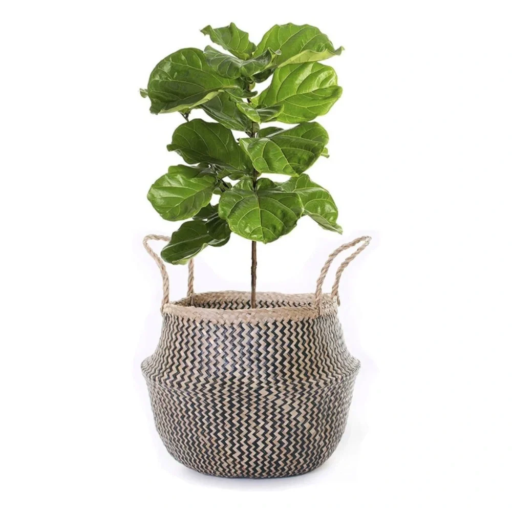 Luxury Home | Boho Chic Black & Natural Beige Woven Seagrass Storage Basket